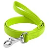 Повідець для собак шкіряний WAUDOG Glamour, Ш 18 мм, Дл 122 см, салатовий - 1