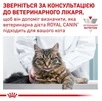 Сухий корм Royal Canin Urinary S/O Feline для дорослих котів з сечокам'яною хворобою 400 г (НФ-00000241) - 8