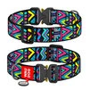 Ошейник для собак нейлоновый WAUDOG Nylon с QR паспортом, рисунок&nbsp;"Инди", металлическая пряжка-фастекс, XXL, Ш 35 мм, Дл 43-70 см - 1