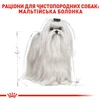 Сухой корм Royal Canin Maltese Adult для собак породы Мальтийская болонка 0.5 кг - 2