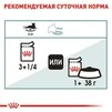 ПАК.Вологий корм Royal Canin HAIRBALL CARE для дорослих кішок, профілактика утворення волосяних грудочок12шт по 85 г - 4