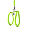 Шлея з повідцем для собак шкіряна WAUDOG Glamour з QR паспортом, Ш 12 мм, А 25-33 см, В 35-43 см, салатовий - 2