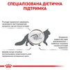 Royal Canin Gastro Intestinal Moderate Calorie Cat Сухий Корм Для Котів При Розладах Травлення 2 кг - 3
