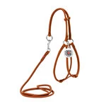 Шлея с поводком для собак кожаная WAUDOG Soft c QR паспортом, круглая, Д 6 мм, А 42-60 см, В 46-64 см, коричневый