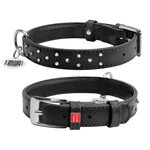 Нашийник для собак шкіряний WAUDOG Glamour з QR паспортом, з клейовими стразами, Ш 25 мм, Дл 38-49 см, чорний