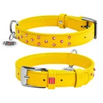 Нашийник для собак шкіряний WAUDOG Glamour з QR паспортом, з клейовими стразами, Ш 25 мм, Дл 38-49 см, жовтий
