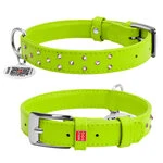 Нашийник для собак шкіряний WAUDOG Glamour з QR паспортом, з клейовими стразами, Ш 20 мм, Дл 30-39 см, салатовий