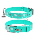 Нашийник для собак шкіряний WAUDOG Glamour з QR паспортом, візерунок "Зірочка", світловий/світловідбиваючий, Ш 25 мм, Дл 38-49 см, ментоловий