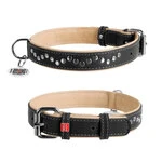 Нашийник для собак шкіряний WAUDOG Soft з QR паспортом, металеві прикраси, Ш 25 мм, Дл 38-49 см