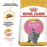 Сухой корм Royal Canin KITTEN BRITISH SHORTHAIR для котят Британской породы 10 кг