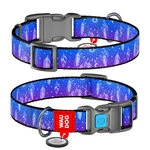 Нашийник для собак нейлоновий WAUDOG Nylon з QR паспортом, малюнок "Ловець снів", пластиковий фастекс, Ш 25 мм, Дл 31-49 см