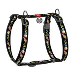 Шлея для собак анатомическая H-образная WAUDOG Nylon А QR паспортом, рисунок "Рик и Морти 3", пластиковый фастекс, М, Ш 20 мм, А 40-70 см, В 50-80 см