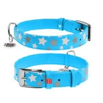 Нашийник для собак шкіряний WAUDOG Glamour з QR паспортом, візерунок "Зірочка", що світиться/світловідбиваючий, Ш 20 мм, Дл 30-39 см, блакитний