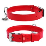 Нашийник для собак шкіряний WAUDOG Glamour з QR паспортом, без прикрас, Ш 20 мм, Дл 30-39 см, червоний