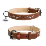 Нашийник для собак шкіряний WAUDOG Soft з QR паспортом, металеві прикраси, Ш 25 мм, Дл 38-47 см