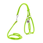 Шлея с поводком для собак кожаная WAUDOG Glamour c QR паспортом, круглая, Д 6 мм, А 42-60 см, В 46-64 см, салатовый