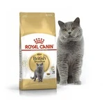 Сухий корм Royal Canin British Shorthair Adult для котів породи британська короткошерста від 12 місяців 2 кг (НФ-00000226)