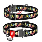 Нашийник для собак нейлоновий WAUDOG Nylon з QR паспортом, малюнок "Рік і Морти 3", металевий пряжка-фастекс, S, Ш 15 мм, Дл 23-35 см