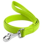 Поводок для собак кожаный WAUDOG Glamour, Ш 25 мм, Дл 122 см, салатовый