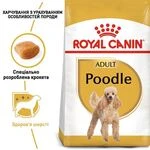 Сухий корм для дорослих собак породи пудель Royal Canin Poodle Adult з м’ясом птиці 500 г