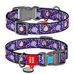 Нашийник для собак нейлоновий WAUDOG Nylon з QR паспортом, малюнок "Рік і Морті 2", пластиковий фастекс, L, Ш 25 мм, Дл 31-49 см