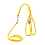 Шлея с поводком для собак кожаная WAUDOG Glamour c QR паспортом, круглая, Д 6 мм, А 26-46 см, В 30-50 см, желтый