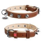 Нашийник для собак шкіряний WAUDOG Soft з QR паспортом, з шипами, Ш 25 мм, Дл 38-49 см