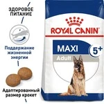 Сухий корм Royal Canin MAXI ADULT 5+ для старіючих собак Великих порід 15 кг