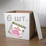 ПАК. Влажный корм для новорожденных котят Royal Canin Mother &amp; Babycat Cans 6 шт по  195 г