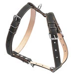 Шлея "CoLLaR" двойная  (ширина 25мм, А:49-68см, В:68-80см), черный