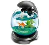 Аквариумы для рыб — стильные решения для дома и профессиональной аквариумистики