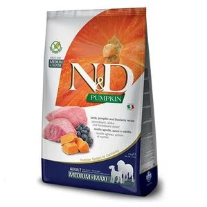 Корм для собак – правильне харчування для здоров'я вашого улюбленця