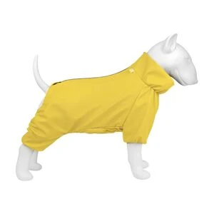 Одяг для собак — теплі куртки, светри й комбінезони для стильних прогулянок