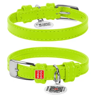 Нашийник для собак шкіряний WAUDOG Glamour з QR паспортом, без прикрас, Ш 12 мм, Дл 21-29 см, салатовий