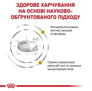 Сухой корм Royal Canin Urinary S/O Feline для взрослых котов с мочекаменной болезнью 9 кг
