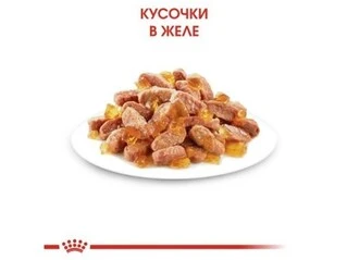 ПАК.Вологий корм Royal Canin KITTEN INSTINCTIVE IN JELLY (Желе) для кошенят 12 шт по 85 г