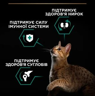 Сухой корм для котов Purina Pro Plan Adult 1 + Renal Plus с курицей 14 кг