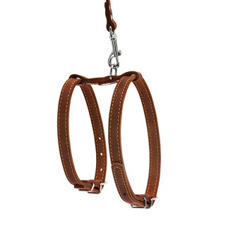 Шлея "CoLLaR" с поводком для мелких собак (ширина 14мм, А:27-35см,В:35-45см, длина 122см), коричневый