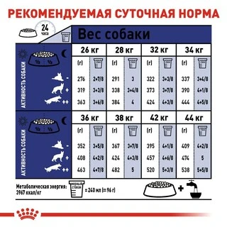 Сухой корм Royal Canin MAXI ADULT для взрослых собак Крупных пород 15 кг