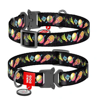 Ошейник для собак нейлоновый WAUDOG Nylon c QR паспортом, рисунок "Рик и Морти 3", металлическая пряжка-фастекс, L, Ш 25 мм, Дл 31-49 см