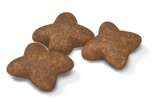 Сухий корм Royal Canin Mini Adult для собак дрібних порід старше 10 місяців 2 кг (НФ-00000282)