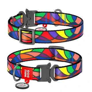 Нашийник для собак нейлоновий WAUDOG Nylon з QR паспортом, малюнок "Вітраж", металевий пряжка-фастекс, Ш 25 мм, Дл 35-58 см