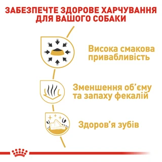 Сухой полнорационный корм для взрослых собак породы чихуахуа к Royal Canin Chihuahua Adult возрасте от 8 месяцев и старше 500 г