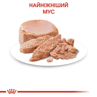 ПАК. Влажный корм для новорожденных котят Royal Canin Mother &amp;amp; Babycat Cans 6 шт по  195 г