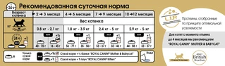 Сухий корм для кошенят породи британська короткошерста до 12 місяців Royal Canin British Shorthair Kitten 400 г