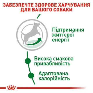 Сухой корм для взрослых собак мелких пород Royal Canin Mini Adult 8+ старше 8 лет 800 г