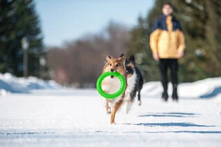 Кольцо для апортировки PitchDog30, диаметр 28 см, салатовый