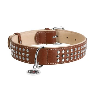 Нашийник для собак шкіряний WAUDOG Soft з QR паспортом, металеві прикраси, Ш 35 мм, Дл 46-61 см