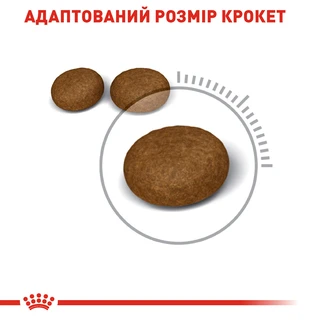 Сухий корм для кішок Royal Canin Hair &amp; Skin Care 400 г
