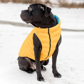 Двусторонняя курточка AiryVest для собак "Colors of freedom", размер L 65